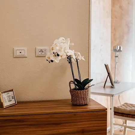 Apartment Principe Prigeho